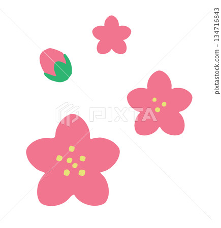 印花風格的桃花、李子花和櫻花 印花風格的桃花、李子花和櫻花 134716843