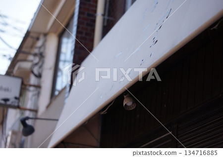 二手書店屋簷下的帳篷 二手書店屋簷下的帳篷 134716885