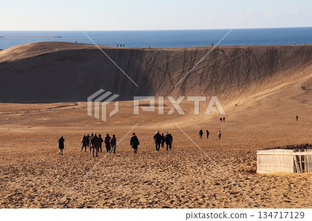 Tottori Sand Dunes and the Sea of Japan Tottori Sand Dunes and the Sea of Japan 134717129