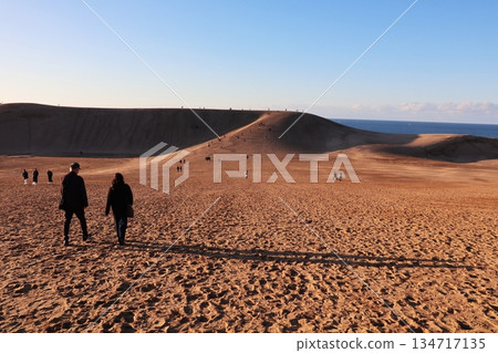 Tottori Sand Dunes in the evening Tottori Sand Dunes in the evening 134717135