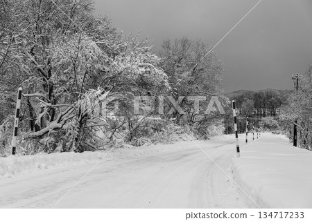 Snow-covered road and snow poles a-3 monochrome 134717233