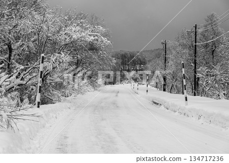 積雪覆蓋的道路和雪桿 b-3 單色 積雪覆蓋的道路和雪桿 b-3 單色 134717236