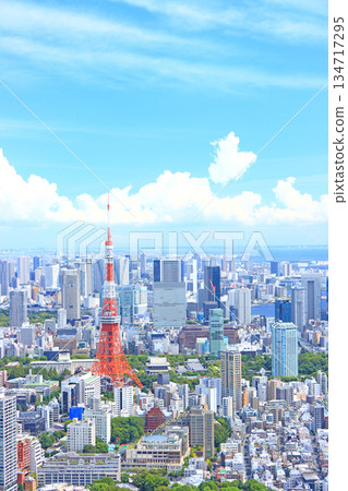 Tokyo Tower and Tokyo cityscape, Minato Ward, Tokyo 134717295