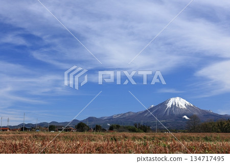 Snow-capped Mt. Daisen, Sakacho, Hoki Town, 5 Snow-capped Mt. Daisen, Sakacho, Hoki Town, 5 134717495