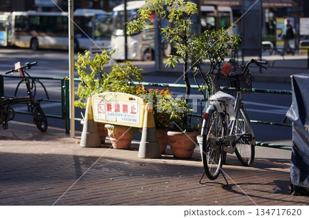 Morning sun shining on the sidewalk 134717620