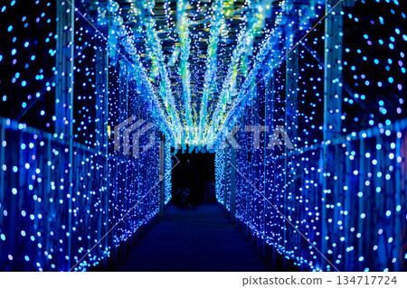 [Tobishima Village, Aichi Prefecture] Tobishima Yoi Akari: A Spectacular View of Wind Chimes and Illuminations 134717724