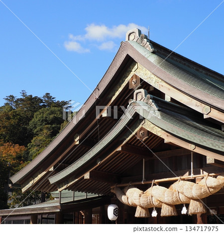 Izumo Taisha Shrine 134717975