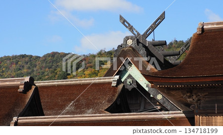 Izumo Taisha Ohondon Izumo Taisha Ohondon 134718199