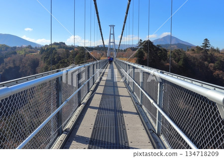 日本最高的步行橋（九重「夢」懸索橋，從北面朝中村） 134718209