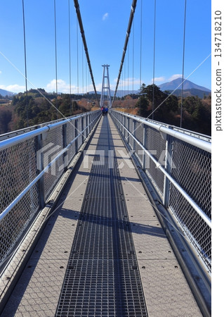 日本最高的步行橋（九重「夢」懸索橋，從北面朝中村） 134718210