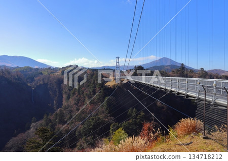 日本最高的步行橋（九重「夢」懸索橋，從北面朝中村） 134718212