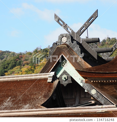 Izumo Taisha Ohondon 134718248