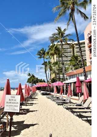 發光在藍天的棕櫚樹 134718704