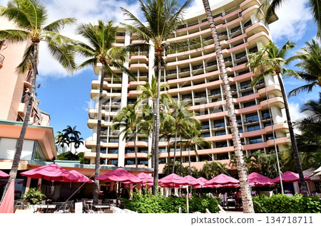 夏威夷的假期 夏威夷的假期 134718711