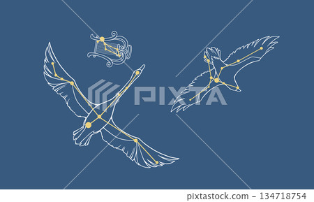 The Summer Triangle on a navy background (with gold constellation lines, swans, eagles, and lyre images) The Summer Triangle on a navy background (with gold constellation lines, swans, eagles, and lyre images) 134718754