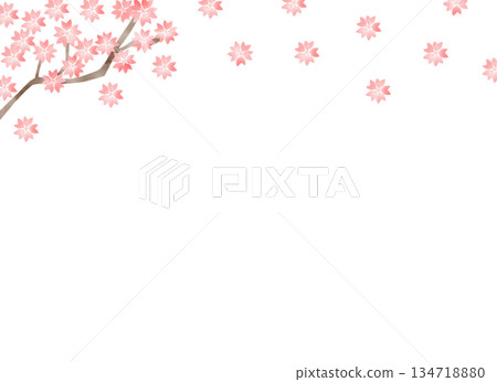 飄落的櫻花和枝條構成背景,營造出春季裝飾設計氛圍。 飄落的櫻花和枝條構成背景,營造出春季裝飾設計氛圍。 134718880
