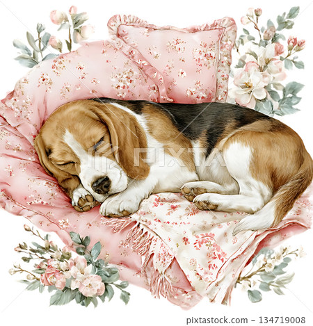 watercolor illustration of a pink flamingo 134719008