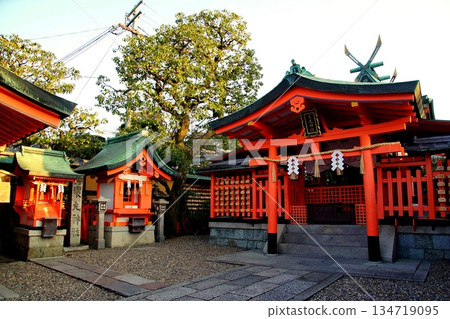 京都府,伏見稻荷大社,東丸神社,深草藪之內町,伏見區,京都市,2022 年 2 月 京都府,伏見稻荷大社,東丸神社,深草藪之內町,伏見區,京都市,2022 年 2 月 134719095