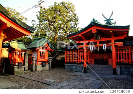 京都府，伏見稻荷大社，東丸神社，深草藪之內町，伏見區，京都市，2022 年 2 月 134719099