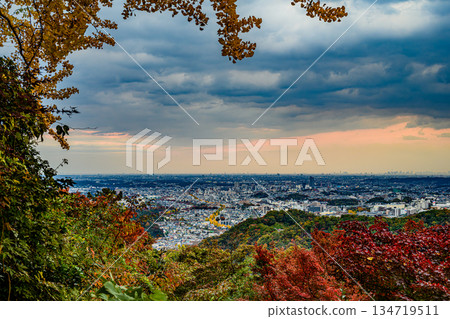 Autumn leaves (Konpiradai Park) Autumn leaves (Konpiradai Park) 134719511