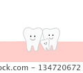 Illustration showing misalignment of teeth due to impacted or supernumerary teeth 134720672