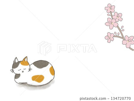 貓咪和櫻花相框 貓咪和櫻花相框 134720770
