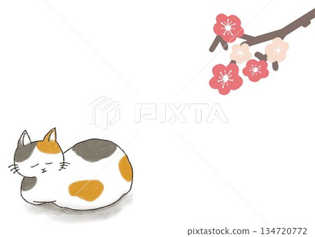 貓咪和櫻花相框 貓咪和櫻花相框 134720772