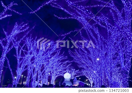 Winter scenery: Blue illuminations Winter scenery: Blue illuminations 134721003