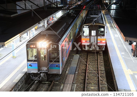 [JR東日本/JR西日本] E127系列100和Kiha 120系列300夜間（大糸線：南小谷站） 134721105