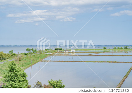 Lake Kasumigaura and rural scenery (Miho Village) in Ibaraki Lake Kasumigaura and rural scenery (Miho Village) in Ibaraki 134721280