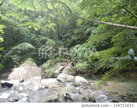 沖繩比治瀑布，位於沖繩縣北國頭村，瀑布，負離子 134721615