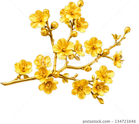 branch with yellow flowers branch with yellow flowers 134721648
