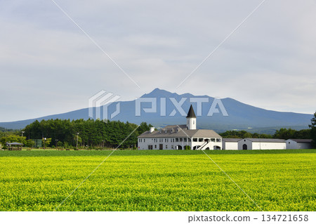 沙裡山和爸爸城堡的四季 沙裡山和爸爸城堡的四季 134721658