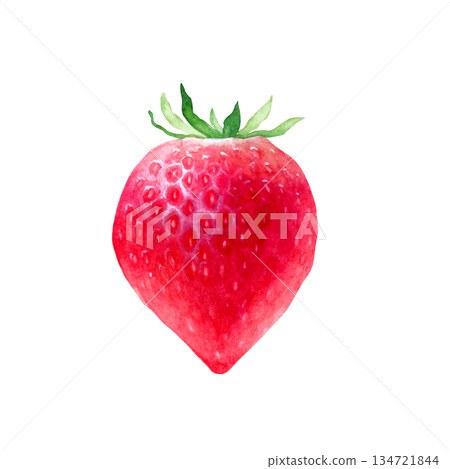 Strawberry fruit watercolor illustration Strawberry fruit watercolor illustration 134721844