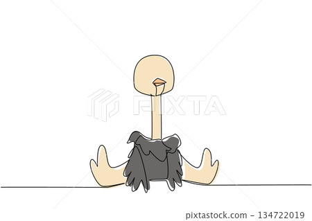 One line drawing of a cute baby ostrich sitting down for wildlife nature concept. This minimalist animal design represents bird zoo life and a friendly adorable icon symbol theme. One line drawing of a cute baby ostrich sitting down for wildlife nature concept. This minimalist animal design represents bird zoo life and a friendly adorable icon symbol theme. 134722019