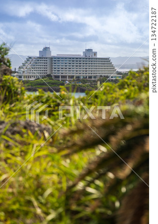 蔚藍海岸線上的豪華白色渡假飯店景觀 134722187