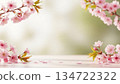 Cherry blossoms and buds, background material 134722322