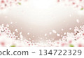 Soft cherry blossom background illustration 134722329