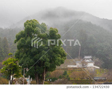 兵庫縣豐岡市出石町的出石城遺址 134722430