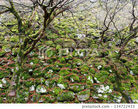 兵庫縣豐岡市出石町的出石城遺址 134722433