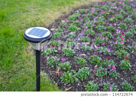 solar light in the garden 134722674