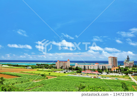Okinawa Miyakojima summer blue sky and resort scenery 134723975
