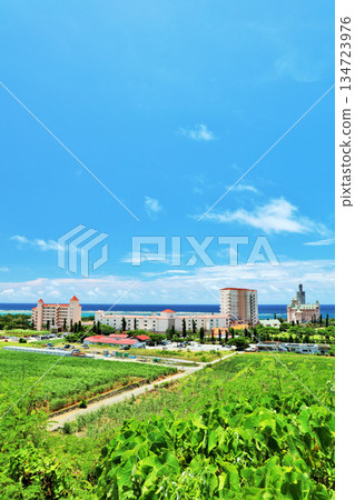 Okinawa Miyakojima summer blue sky and resort scenery 134723976