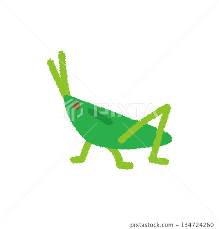 Grasshopper insect observation hand-drawn pastel cute illustration Grasshopper insect observation hand-drawn pastel cute illustration 134724260