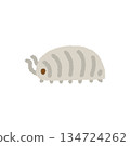 Pillbug insect observation hand-drawn pastel cute illustration Pillbug insect observation hand-drawn pastel cute illustration 134724262