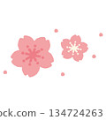 Cherry blossom spring flower hand drawn pastel cute illustration Cherry blossom spring flower hand drawn pastel cute illustration 134724263