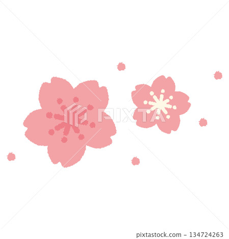 櫻花春花手繪粉彩可愛插畫 櫻花春花手繪粉彩可愛插畫 134724263