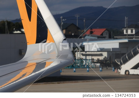 小鯊魚 小鯊魚 134724353