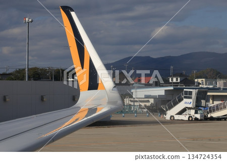 Sharklet Sharklet 134724354