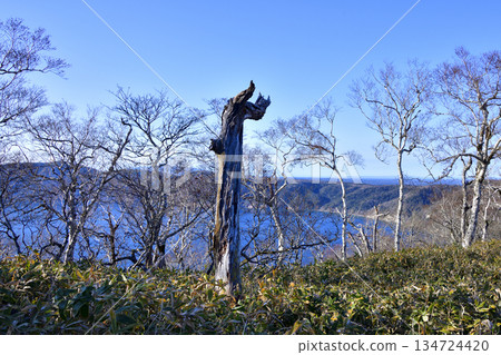 浦間外環步道景色 134724420